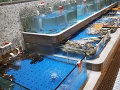 水产区-阿杜打边炉(五江天街店)