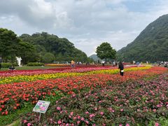 -广州市石门国家森林公园