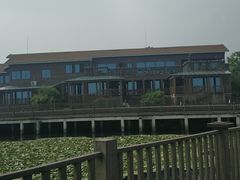-新木器时代餐厅(太湖新天地店)
