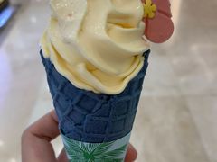 -麦当劳(石家庄北国店)