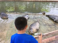 -渔岛海洋度假区