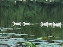 -木塔寺遗址生态公园