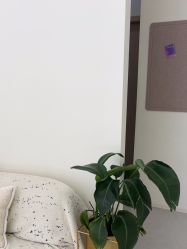 -苗方清颜专业祛痘·皮肤管理