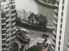 -新湖明珠城