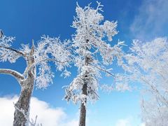 -哈尔滨热雪奇迹