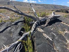 -夏威夷火山国家公园