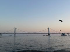 -星海广场