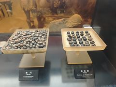 -河姆渡遗址博物馆
