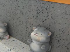 -半岛宠物医院24小时(白果林店)