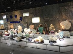 -中国地质大学逸夫博物馆