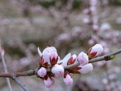 景点-元大都城垣遗址公园