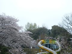 -杭州少年儿童公园