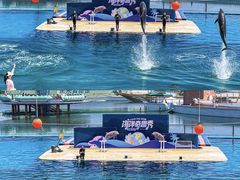 -秦皇岛乐岛海洋王国