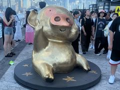 -星光大道