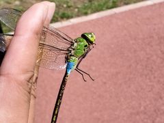 -瀛海足球主题公园