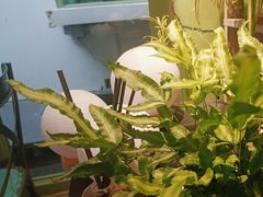 -绿房子方寸咖啡(星海名城店)
