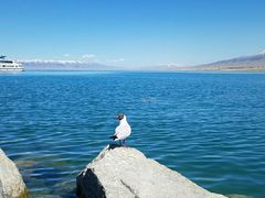 -青海湖国家重点风景名胜区