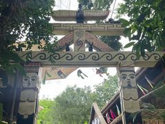 -西双版纳原始森林公园