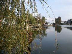 -上海市黄浦区教育学院附属中山学校