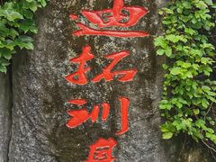 -呀诺达热带雨林