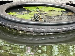 -宁波市保国寺古建筑博物馆