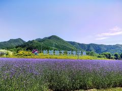 -百里山水画廊