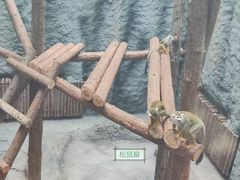 -武汉动物园