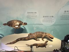 -中国湿地博物馆