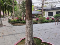 -广东花都湖国家湿地公园