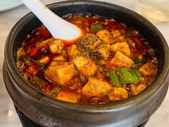 -陈麻婆豆腐总店