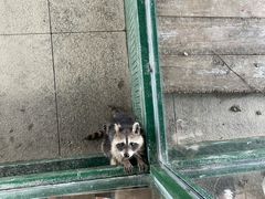 -秦皇岛野生动物园