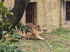 -合肥野生动物园