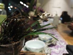 -扫雪煮茶(西村店)