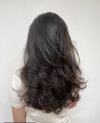 -飞梵造型