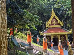 -西双版纳勐泐文化旅游区