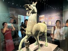 -广西壮族自治区博物馆