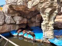 -华夏文旅海洋公园