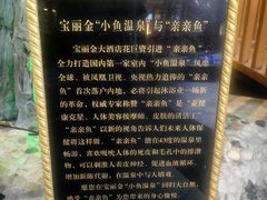 -宝丽金大酒店·洗浴中心