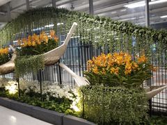-曼谷素万那普国际机场