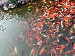 -南昌之星游乐场