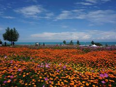-青海湖国家重点风景名胜区