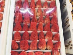 -江杨农产品批发市场