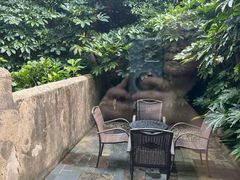 -看见远方·莫干遥远的山民宿