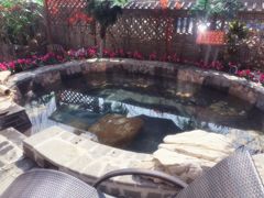 -东汤温泉·在水一方