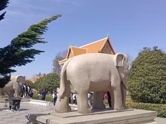 -洛阳白马寺