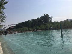 -东方巨龟苑景区