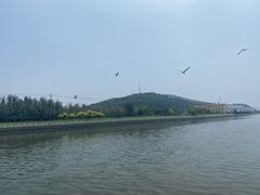 -顺信记(龙河家园店)