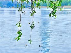 -玄武湖景区-情侣园游乐场