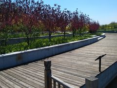 -天津东丽湖风景区