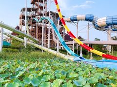 -苏州湾梦幻水世界